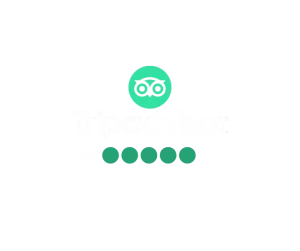 Tripadvisor reviews for Vietnam Motorbike Tours